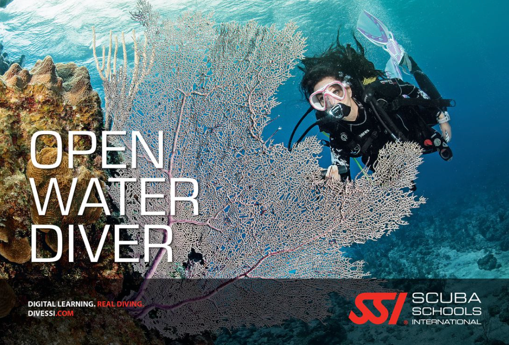 OPEN WATER DIVER